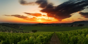 Toscana loojang